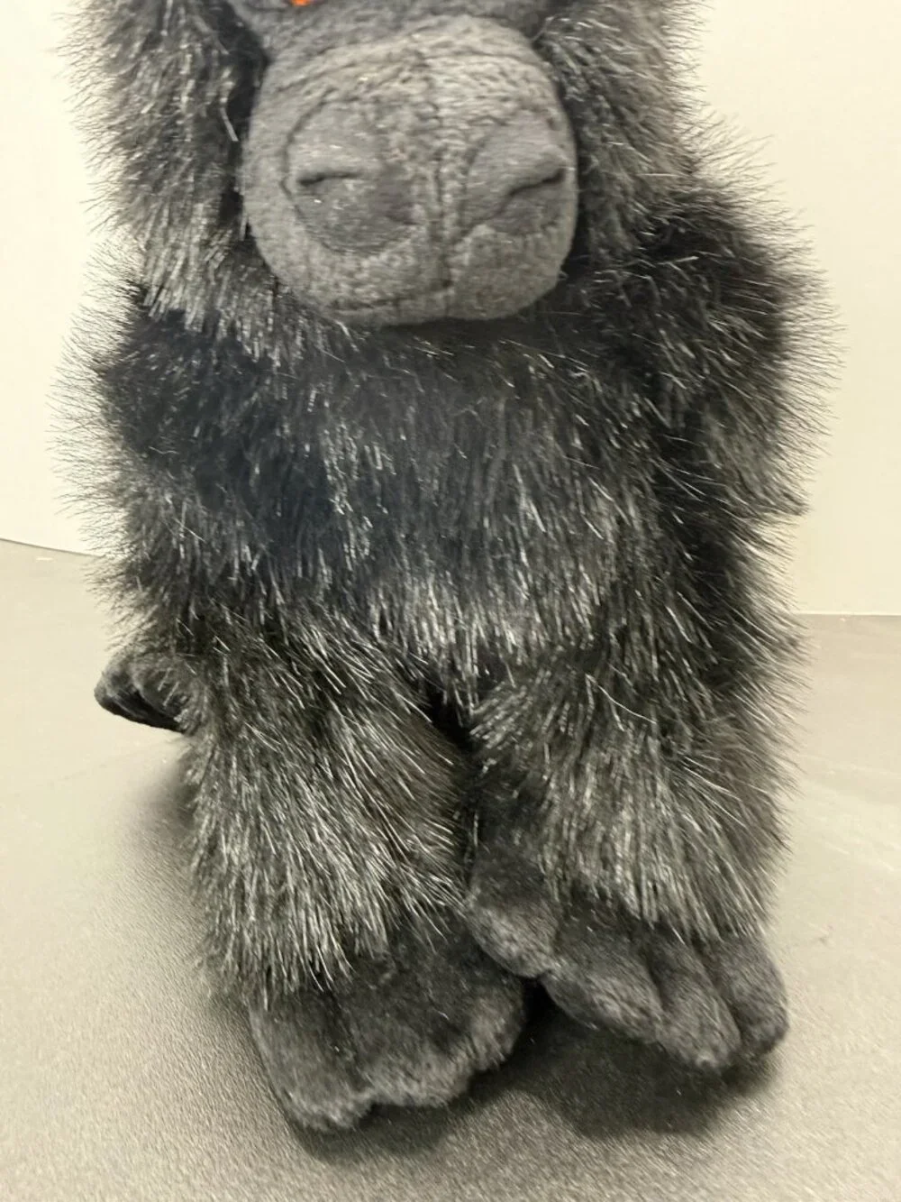 Aurora Black Gorilla 13